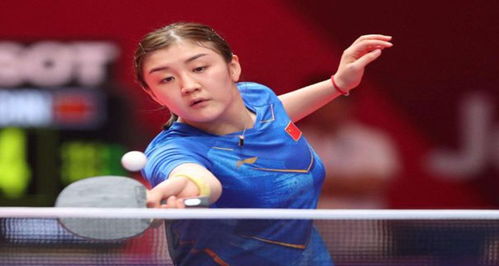 乓球运动员 乓球运动员