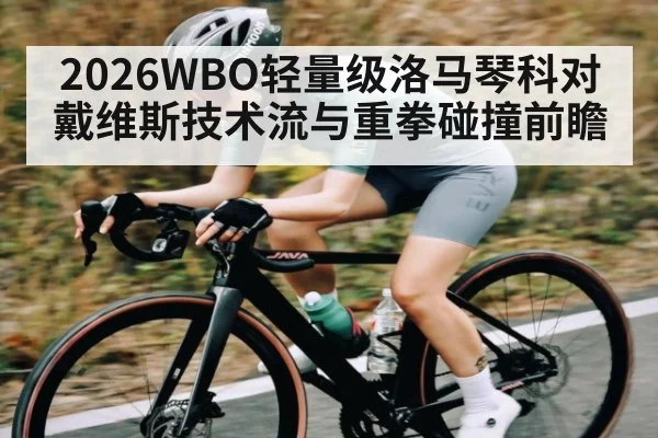 2026WBO轻量级洛马琴科对戴维斯技术流与重拳碰撞前瞻